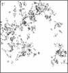 Figure 6b