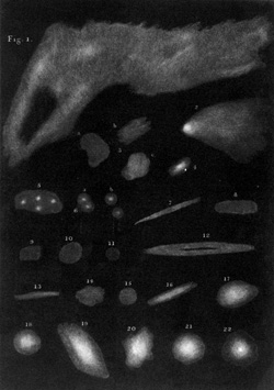 Figure 3.1a