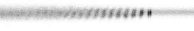 Figure 1c
