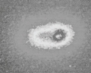 Figure 10