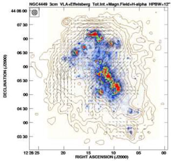 Figure 37
