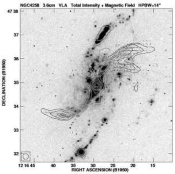 Figure 49