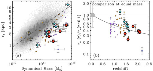 Figure 29