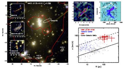 Figure 31