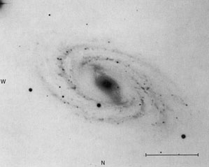 NGC 3992