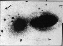 VV209a