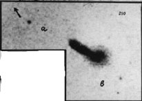 VV210a